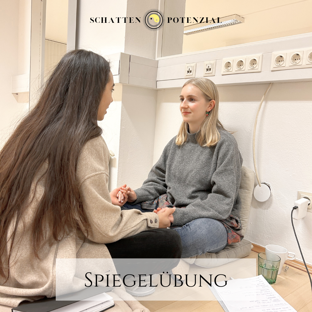 Schattenpotenzial Workshop – Wien 22./23. Nov. 2025
