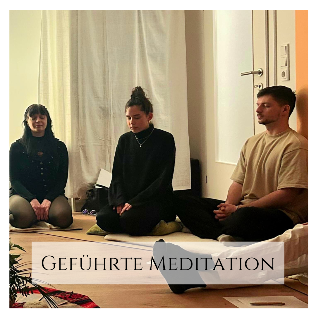 Schattenpotenzial Workshop – Wien 22./23. Nov. 2025