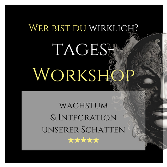 Schattenpotenzial Workshop – Wien 22./23. Nov. 2025